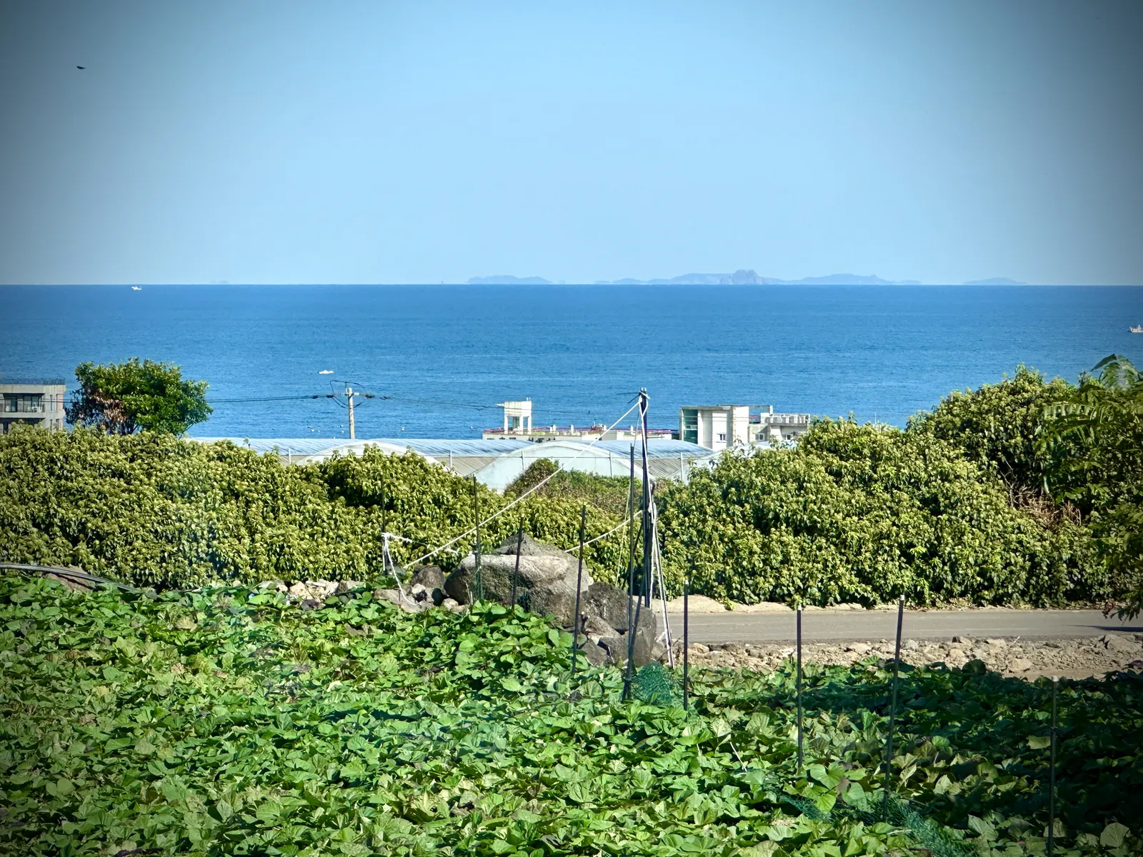 바다와 한라산 뷰